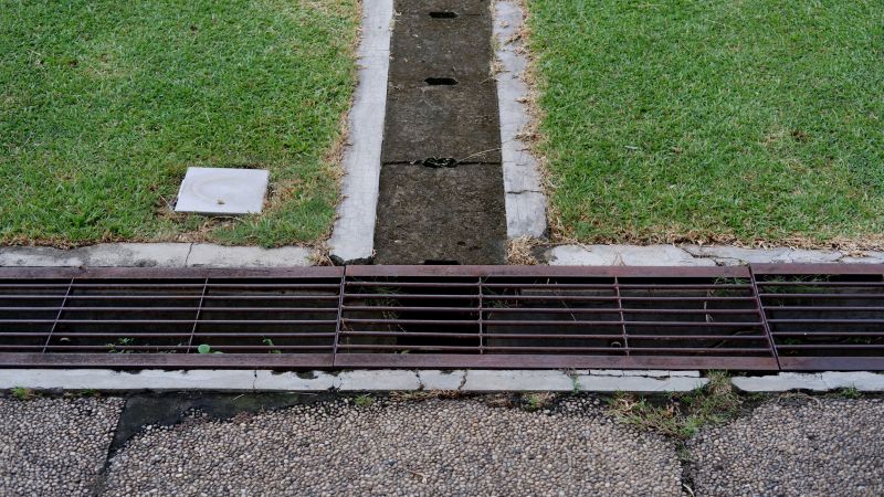 Wet Yard Drainage in Tuscaloosa, AL